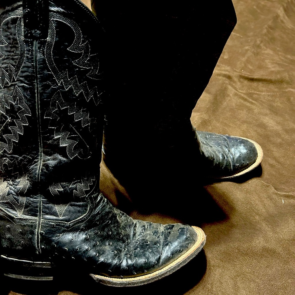 Panhandle Slim boots, lightly used. 9 1/2 D